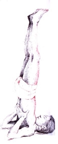 Sarvangasana